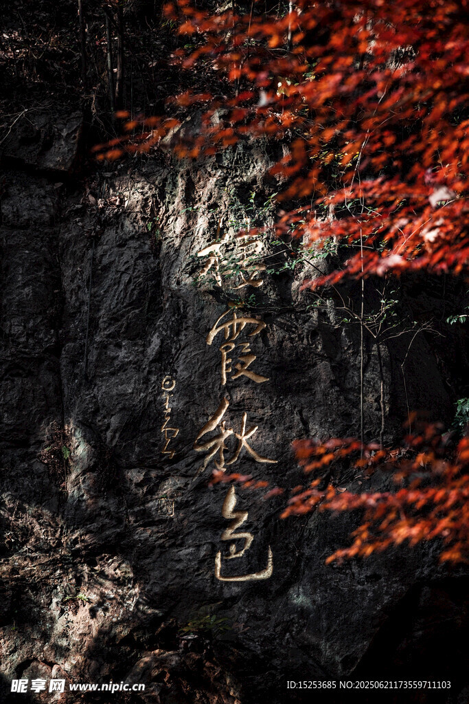 秋意山林紅葉覆于巖石間