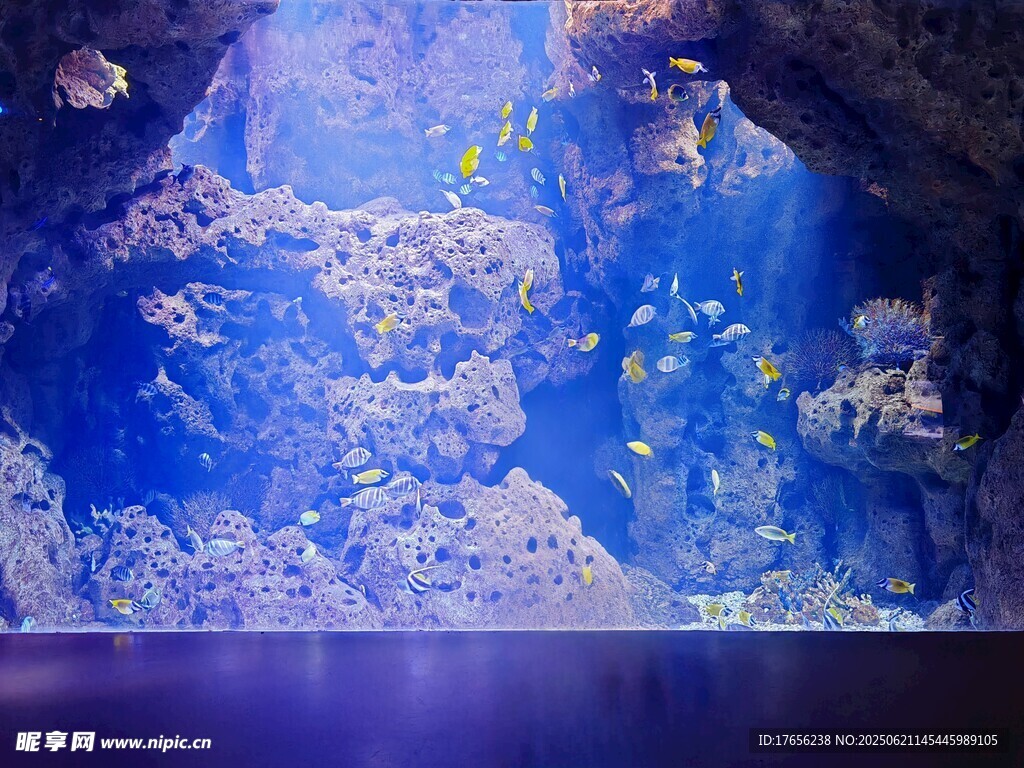 夢幻海底世界景觀