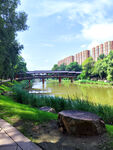 河畔公園美景