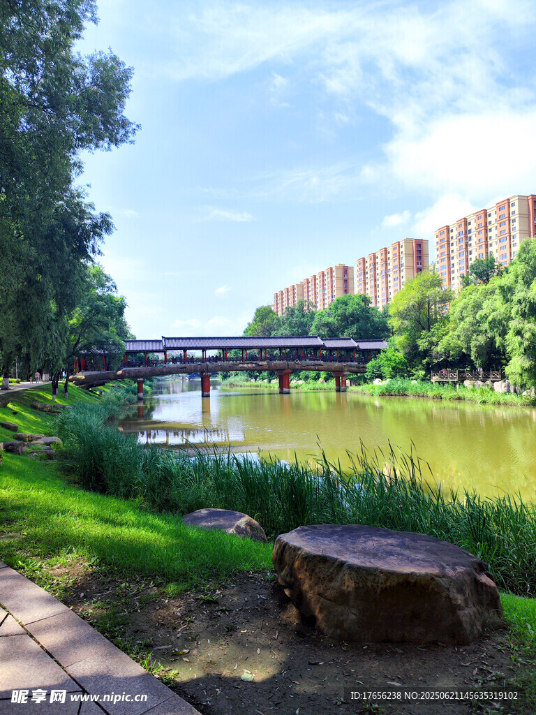 河畔公園美景