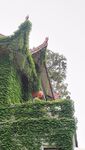 寺廟