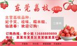 荔枝名片