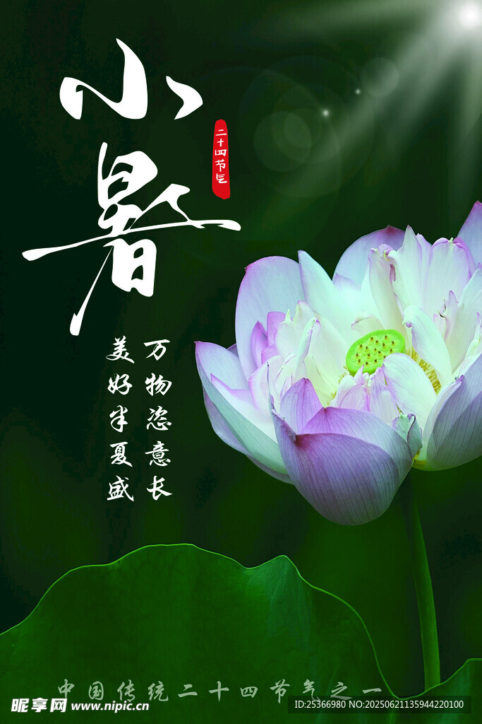 夏至節氣海報