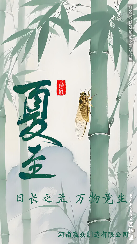 夏日竹景  生機盎然
