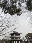 中式古亭