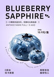 藍莓藍寶石水果海報