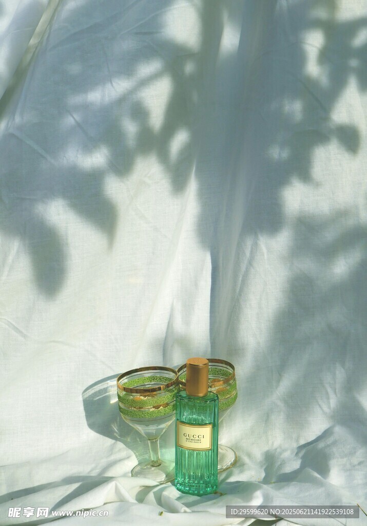 陽光下的綠植與玻璃杯
