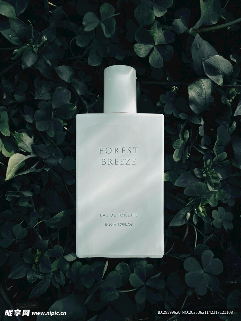 簡約香水瓶置身綠植間