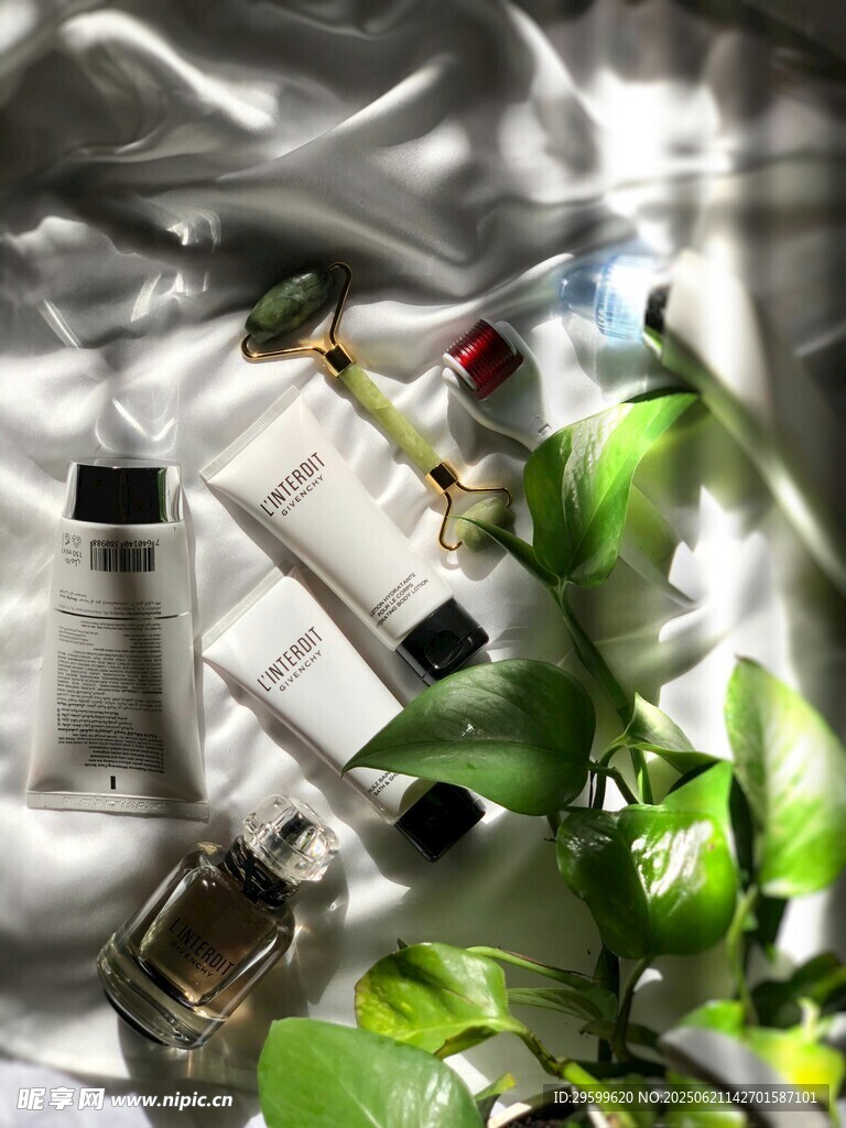 植物旁的透明包裝物品