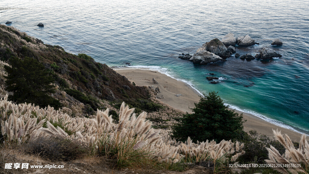 海岸美景 沙灘綠植與碧海