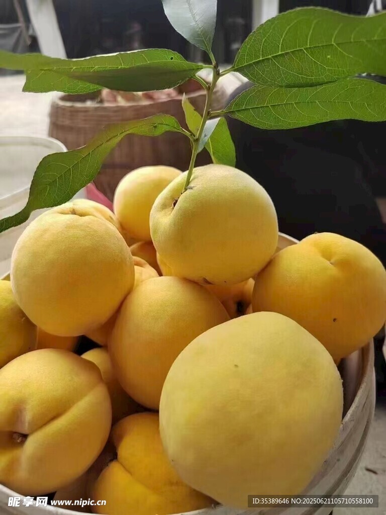 一籃金黃飽滿(mǎn)的新鮮黃桃