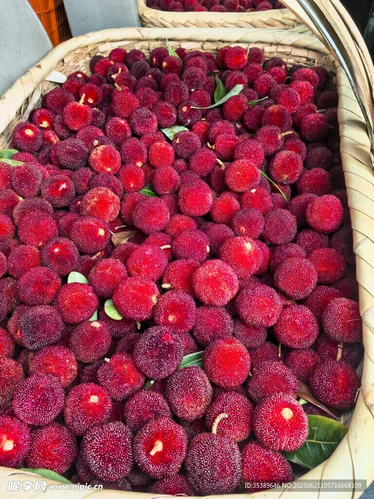 竹籃中的新鮮紅楊梅