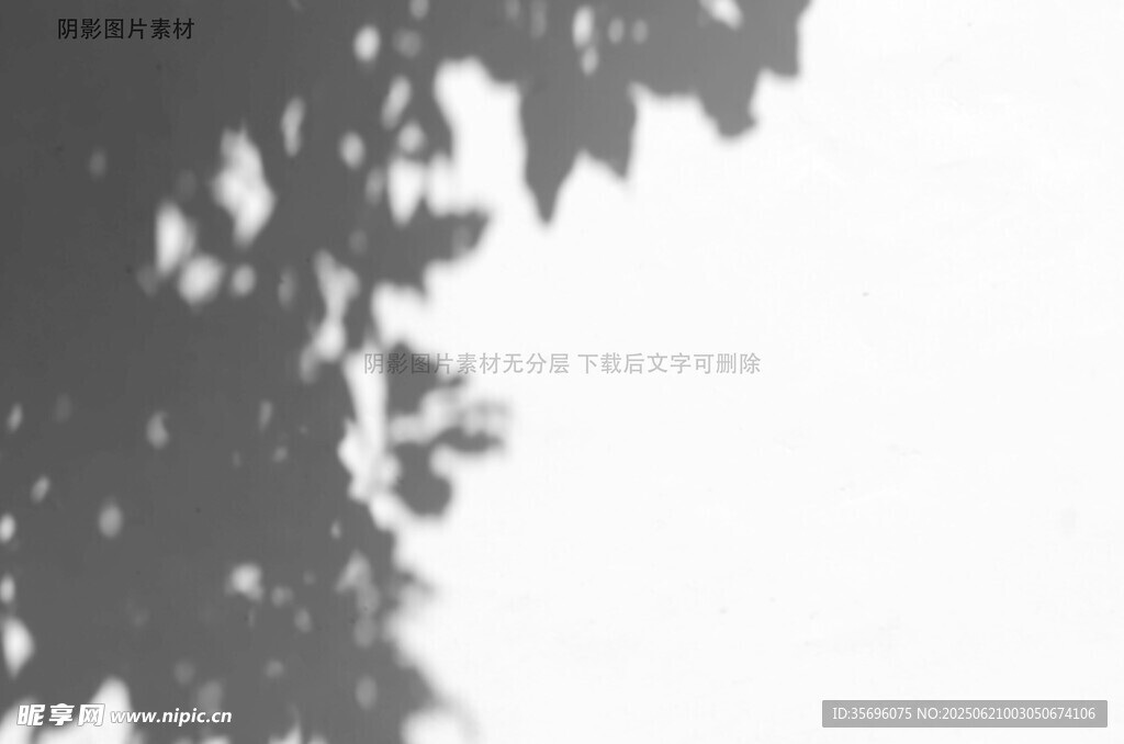 樹影婆娑映天際