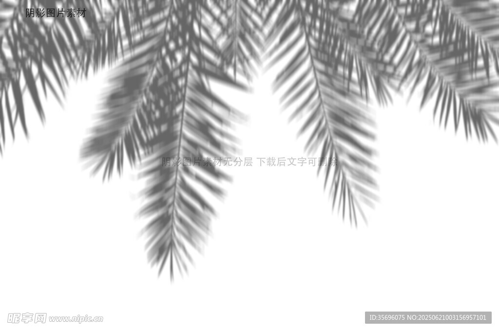 松枝剪影