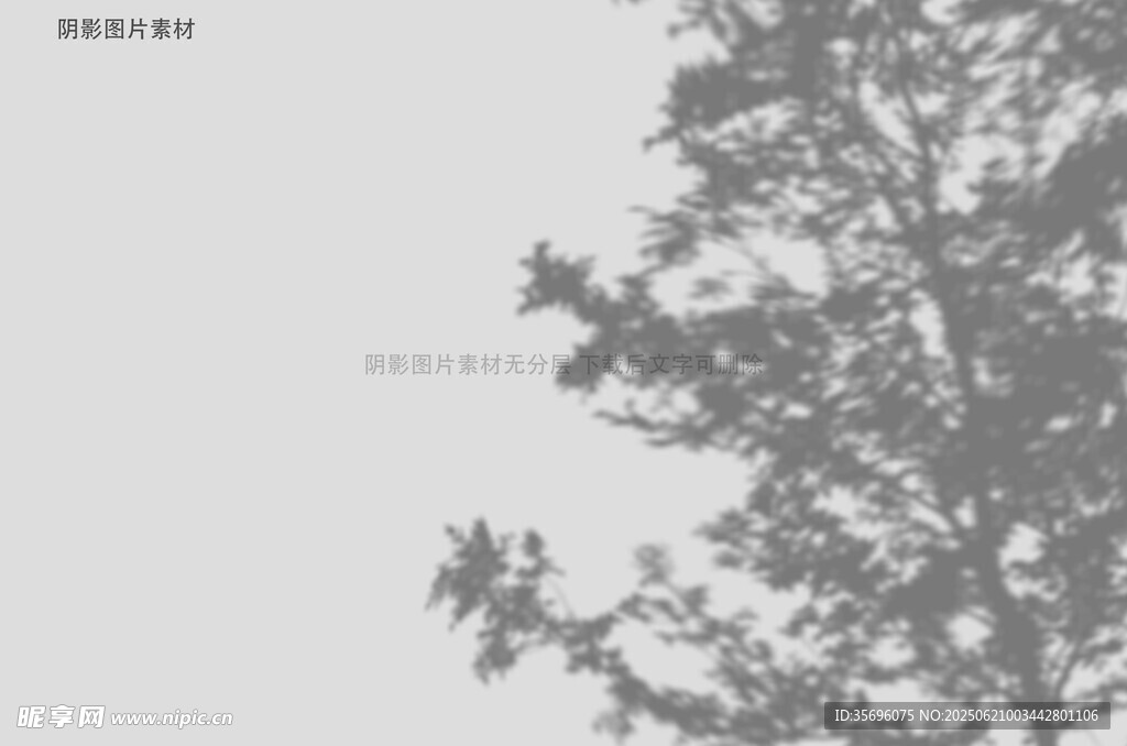 灰白背景下的樹木枝葉
