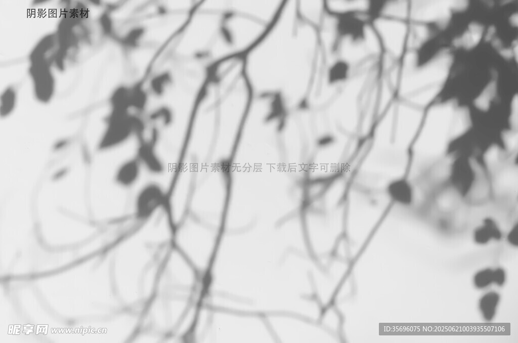 黑白樹枝紋理抽象畫面