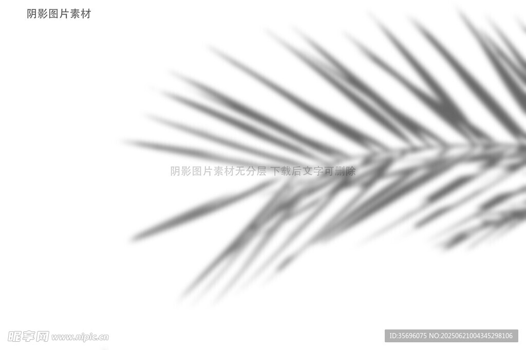 簡約棕櫚葉線條藝術(shù)圖