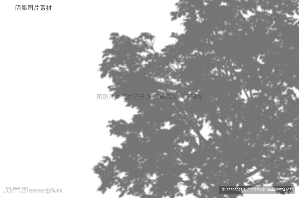 樹(shù)梢剪影