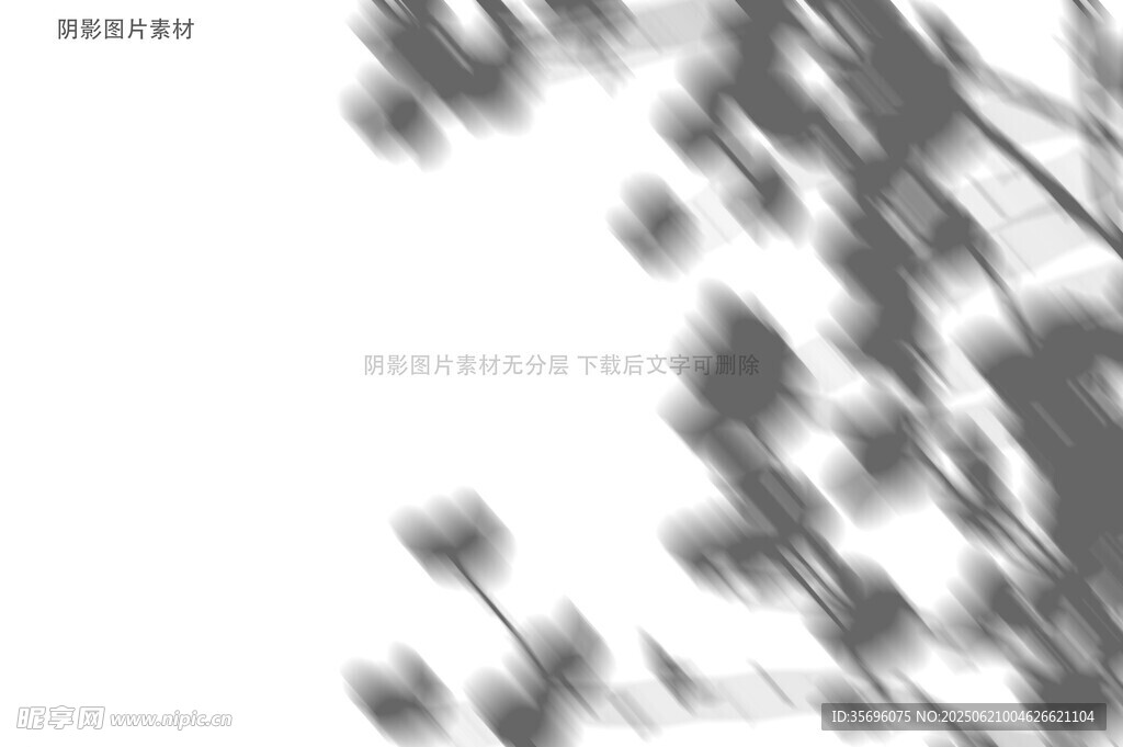 黑白枝葉抽象藝術畫面