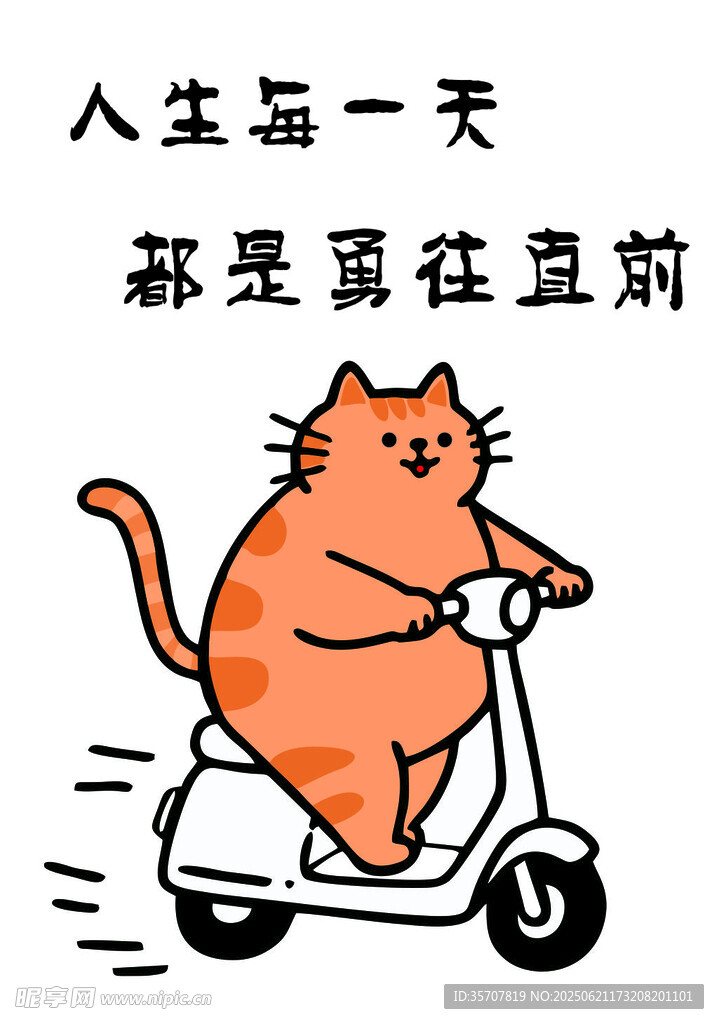 橘貓騎車