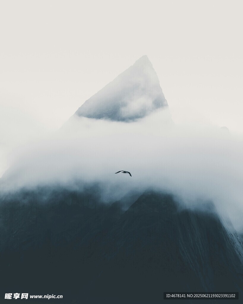 云端孤峰飛鳥掠影