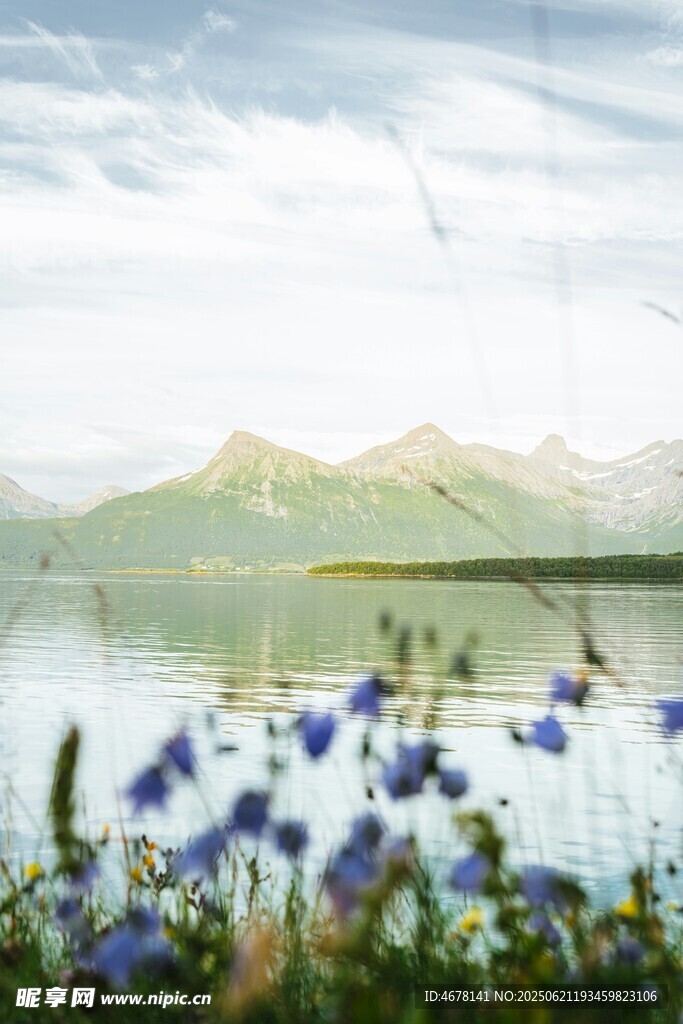 湖畔藍花與遠山美景