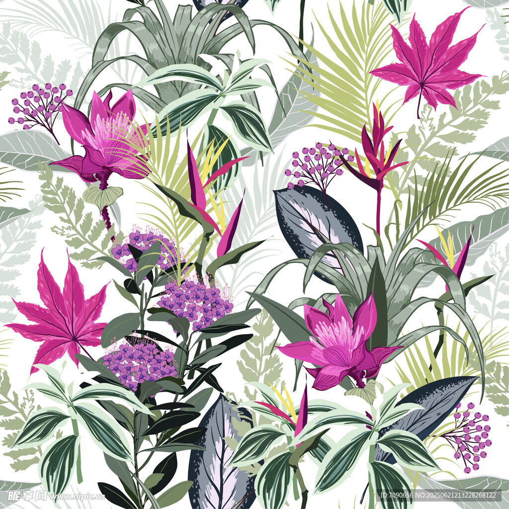 熱帶花卉植物插畫