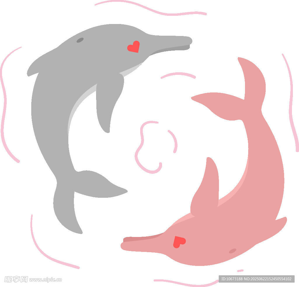 雙海豚互動插畫