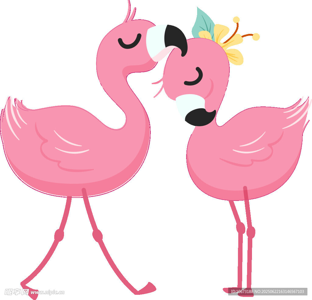 兩只親昵的粉色火烈鳥