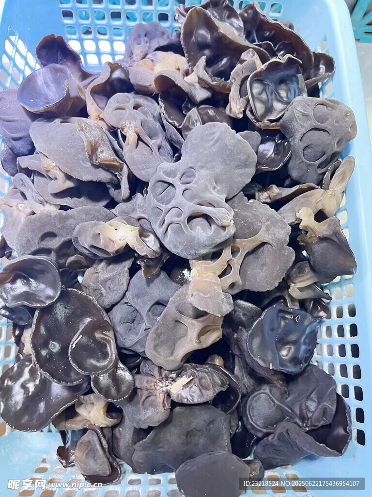 木耳