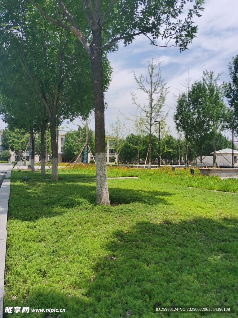 戶外綠意盎然的草地風(fēng)景
