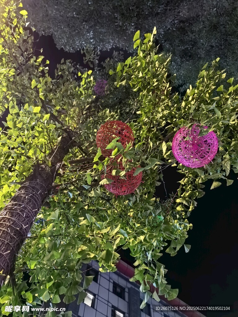 夜幕下繁花滿樹的景致