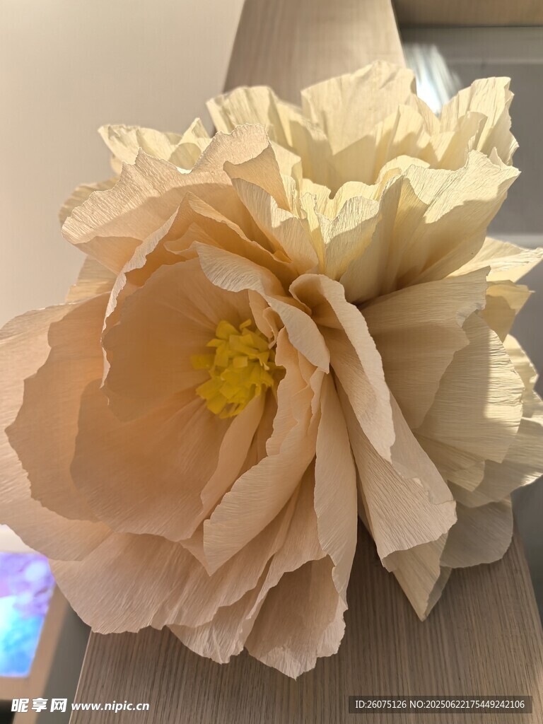 手工紙藝花朵特寫