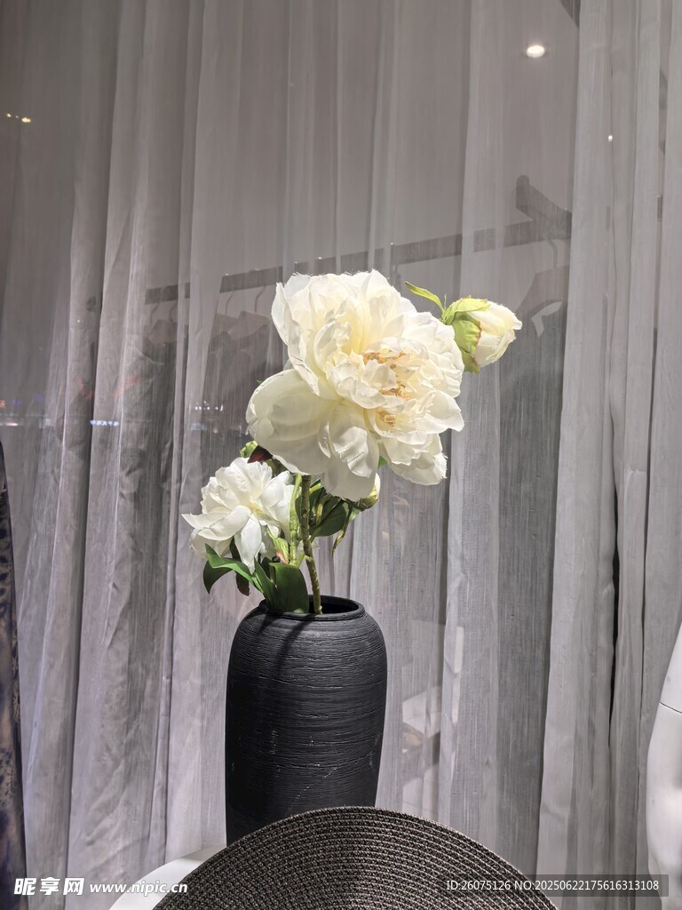 黑色花瓶中的白色花卉