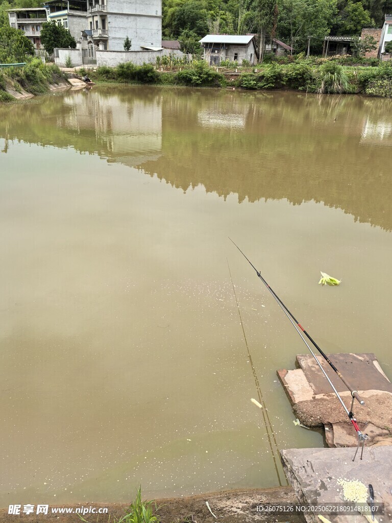 鄉村池塘邊的釣魚場景