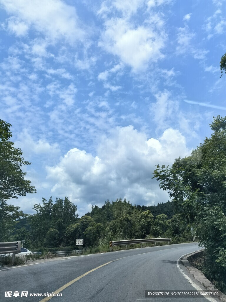 蜿蜒公路旁的蔥郁景致