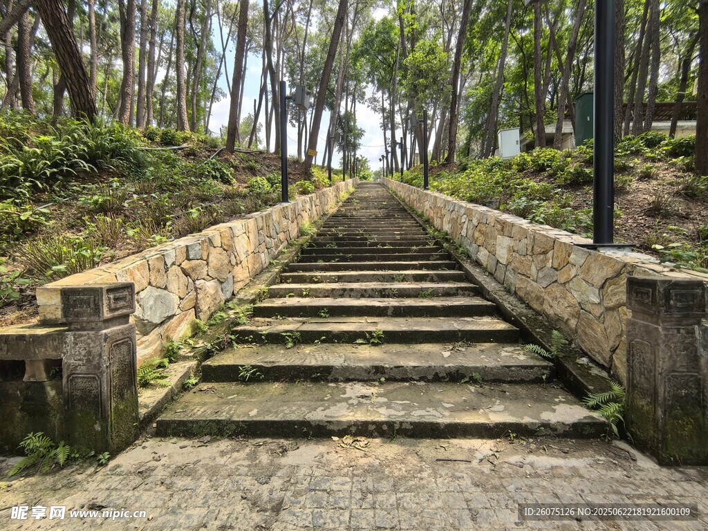 林間石階小道