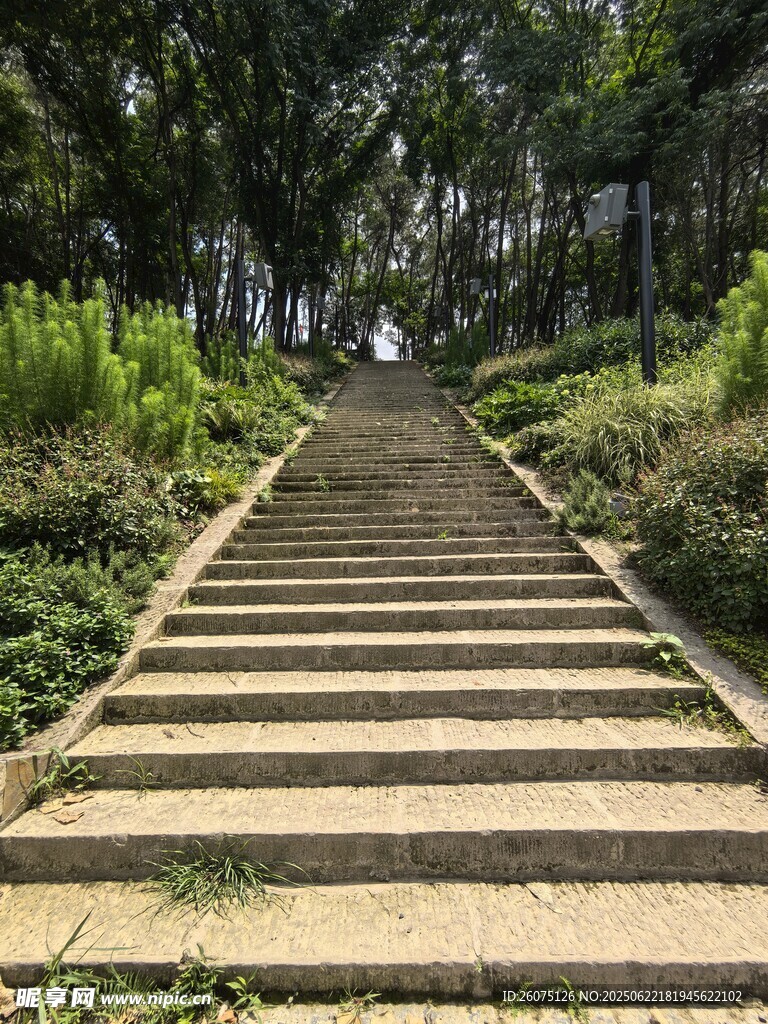 林間石階小道