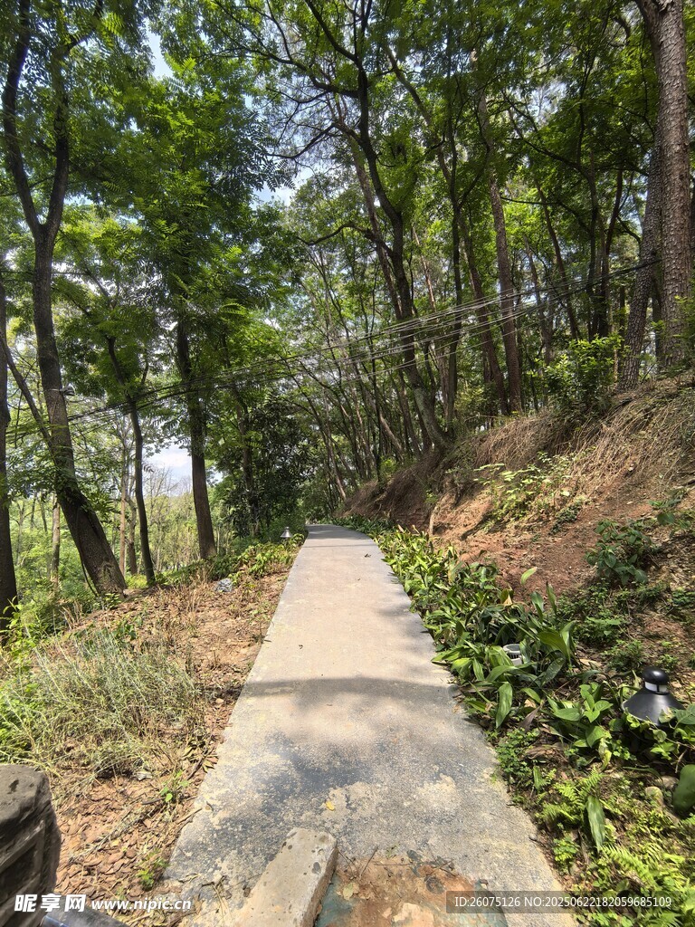 林間石板小徑