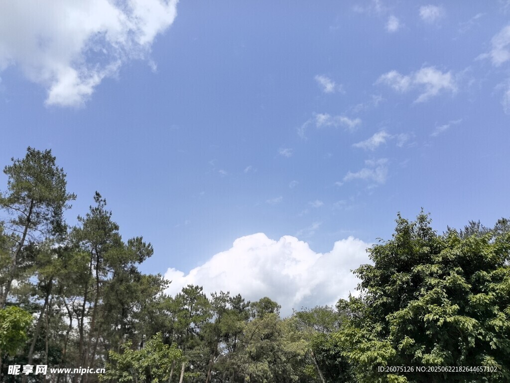 藍天綠樹自然風景圖