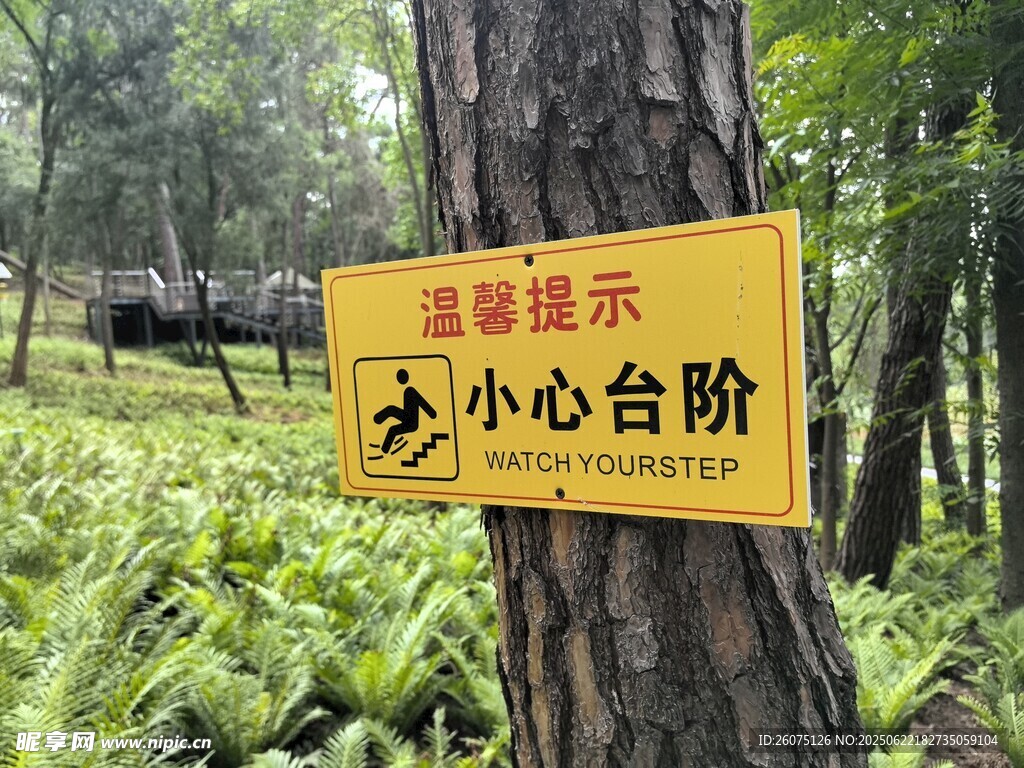 景區樹木上的小心臺階提示牌