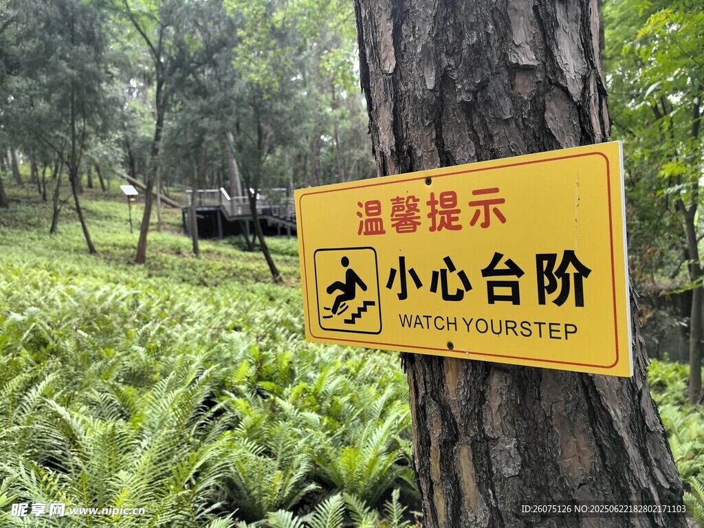 樹林中的小心臺階提示牌