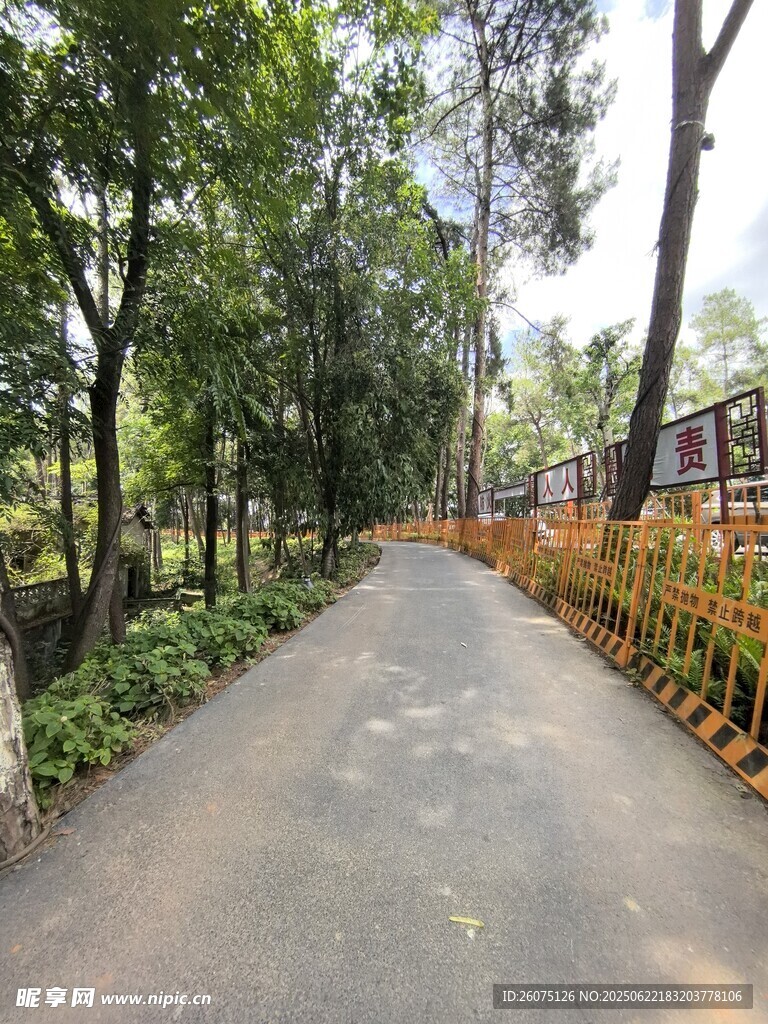 林間幽靜小路