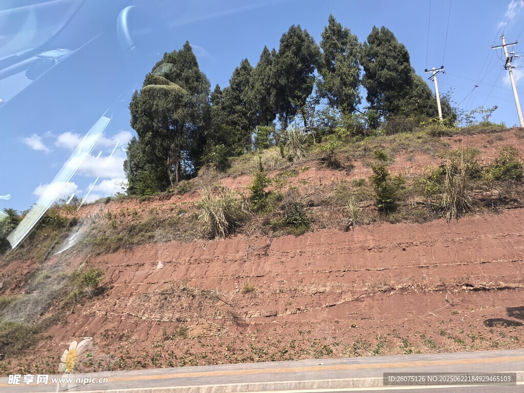 山坡上的樹木與紅土地