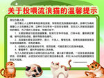 投喂流浪貓溫馨提示