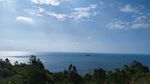 海邊藍天綠樹美麗景致
