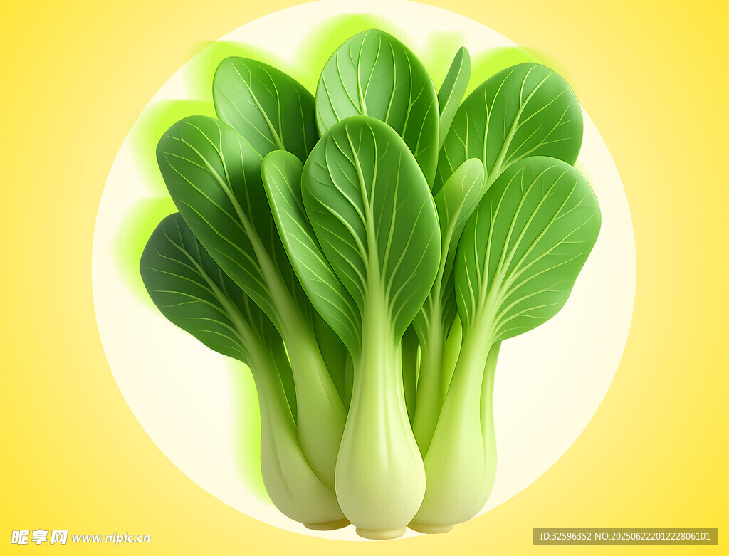 新鮮小白菜