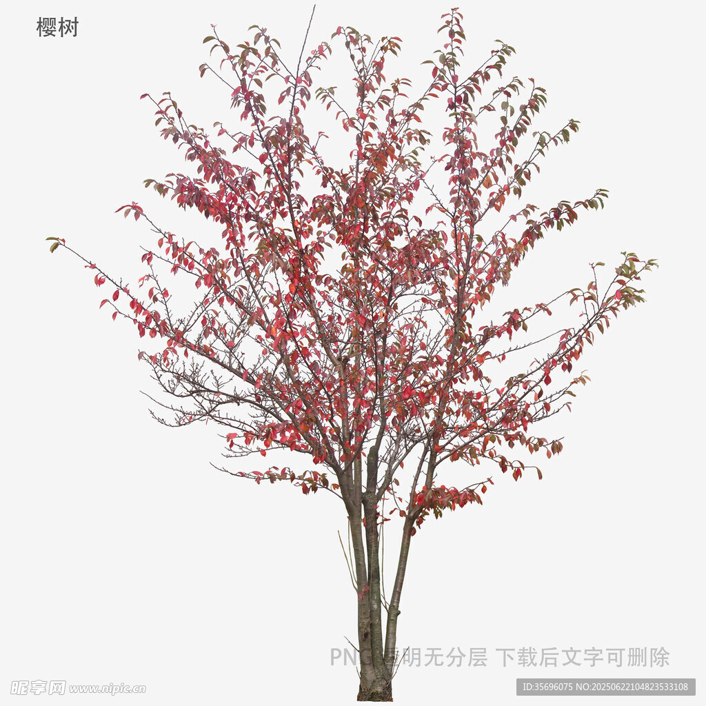 紅果滿樹的精美樹木模型