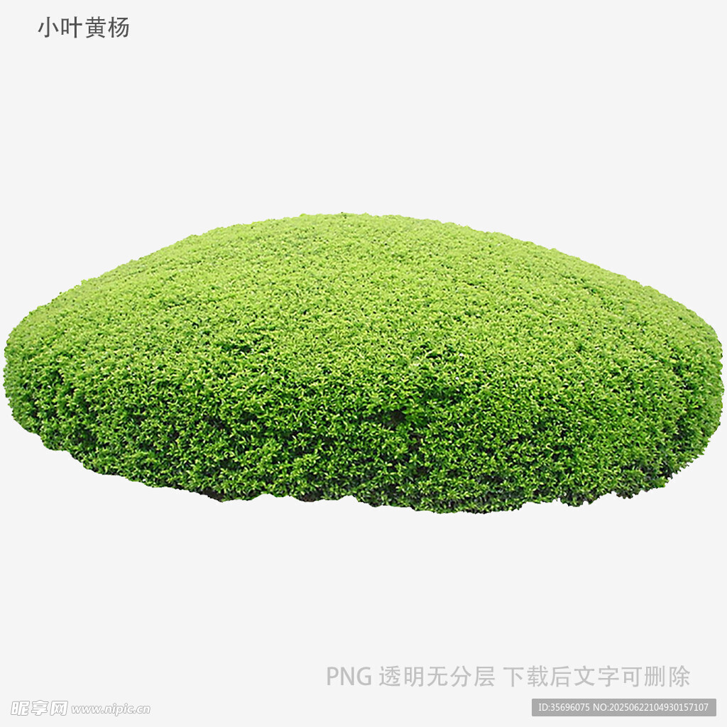 綠色圓形草垛