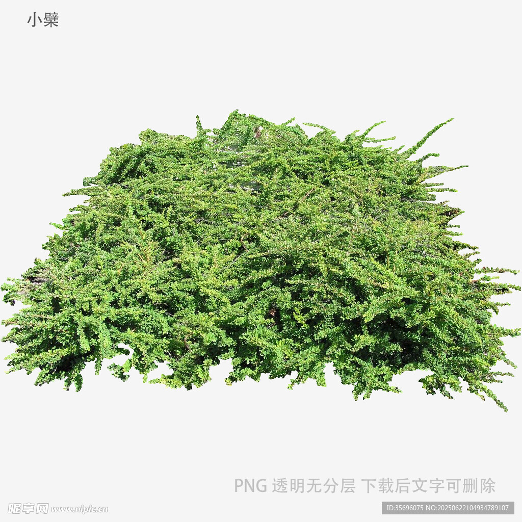 新鮮嫩綠的草堆